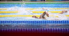 ۷ رکوردشکنی در مسابقات شنای تیم ملی