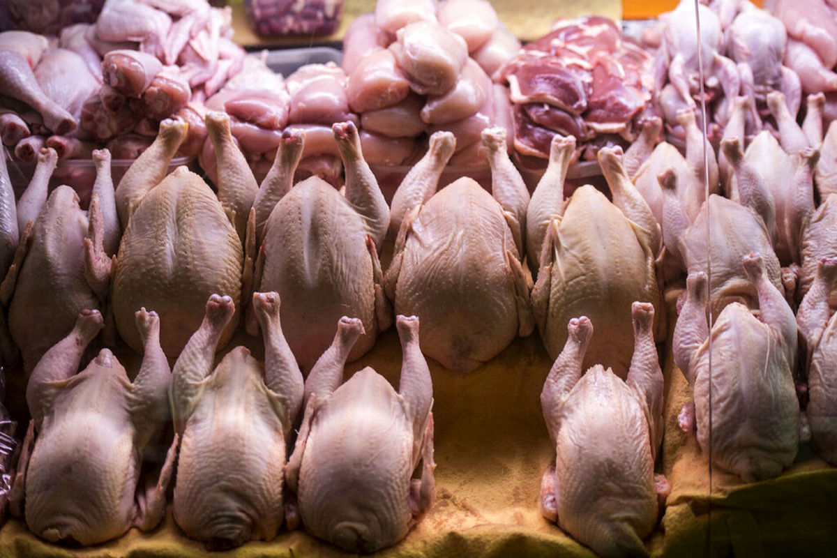 آژیر گرانی مرغ در بازار به صدا در آمد (اردیبهشت ۱۴۰۴)