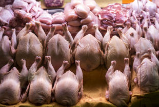 گوشت مرغ با قیمت جدید به بازار سرازیر شد (۲۲ اردیبهشت)