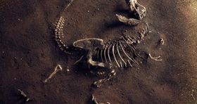 فسیل بزرگترین دایناسور تاریخ کشف شد