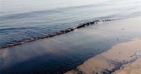 ۳۸ مورد آلودگی دریایی در آبهای بوشهر ثبت شد
