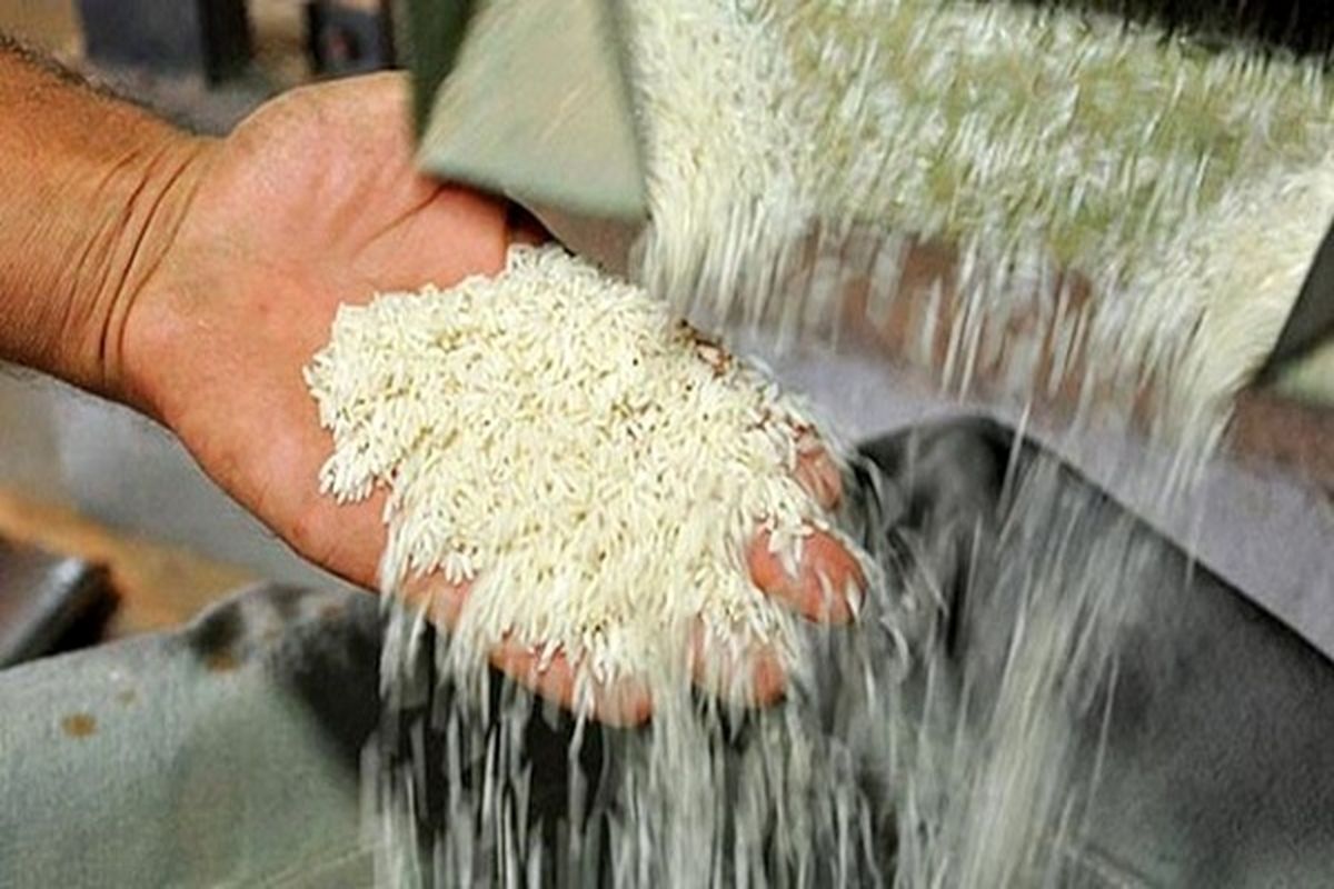 افزایش ۲۰ تا ۳۰ درصدی قیمت برنج پرمحصول