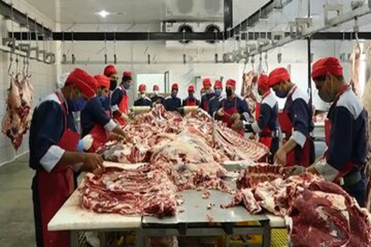 گوشت ایران به عمان می رود و هموطن محصول آفریقایی می خورد! 
