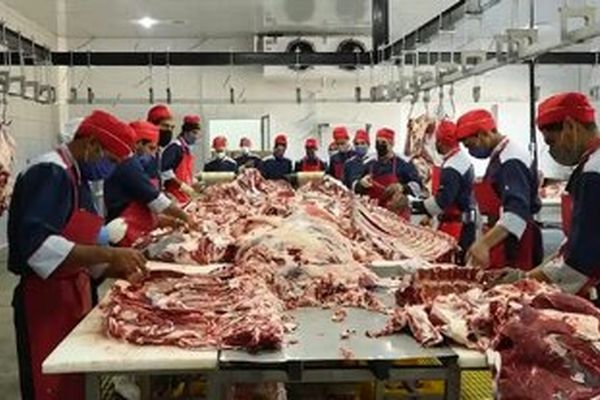 اعلام قیمت روز گوشت در بازار / راسته با استخوان گوسفندی کیلویی چند؟ 