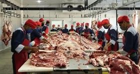 اعلام قیمت روز گوشت در بازار / راسته با استخوان گوسفندی کیلویی چند؟ 
