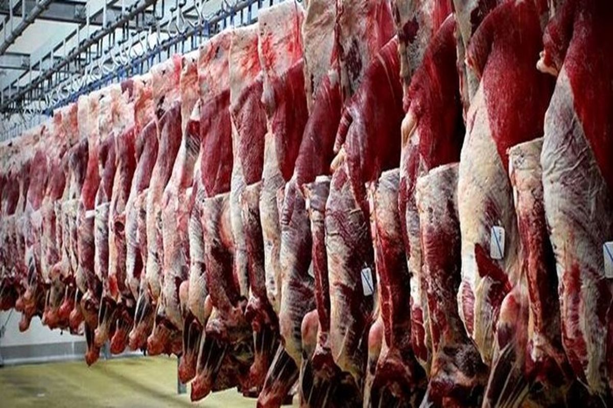 کاهش ۳۰ درصدی قیمت گوشت با واردات از کنیا
