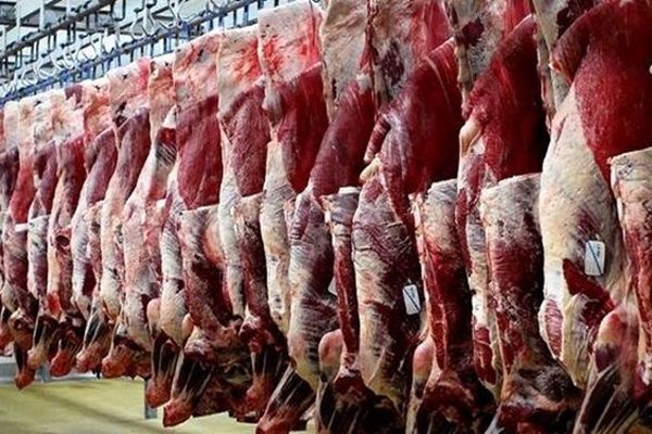 کاهش ۳۰ درصدی قیمت گوشت با واردات از کنیا