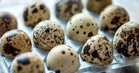 خرید تخم بلدرچین چقدر پول می خواهد؟ / لیست قیمت انواع تخم مرغ در بازار