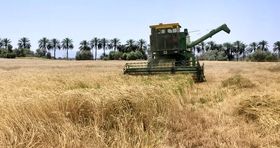 چقدر گندم از کشاورزان خریداری شد؟ 
