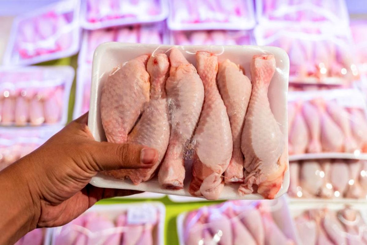 توزیع مرغ با قیمت باورنکردنی آغاز شد+ جزئیات