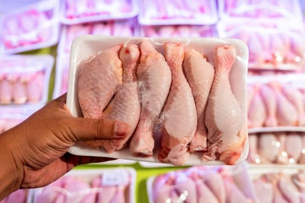 توزیع مرغ با قیمت باورنکردنی آغاز شد+ جزئیات