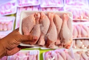 توزیع مرغ با قیمت باورنکردنی آغاز شد+ جزئیات