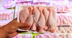 توزیع مرغ با قیمت باورنکردنی آغاز شد+ جزئیات