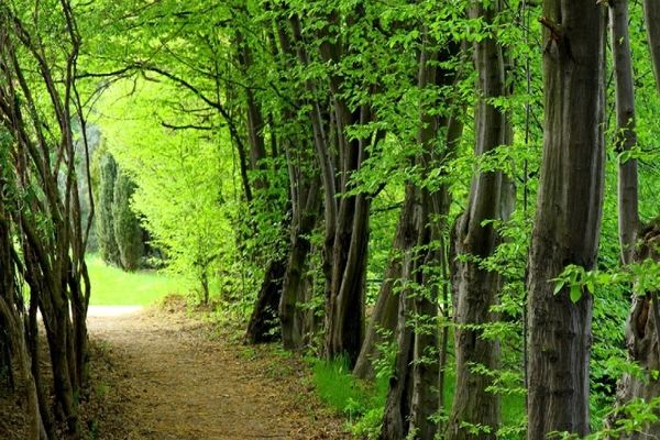 کدام شهر شمالی انتخاب بهتری برای سفر چندروزه است؟
