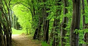 کدام شهر شمالی انتخاب بهتری برای سفر چندروزه است؟
