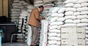 جدیدترین قیمت برنج ایرانی و خارجی کیلویی چند؟ 