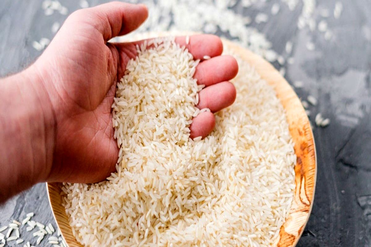 قیمت جدید برنج در بازار / این برنج هندی به مرز کیلویی ۶۰ هزار تومان رسید