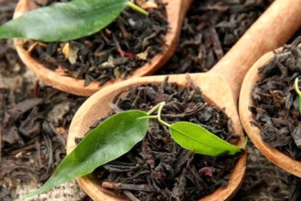 امتیاز ویژه واردات چای / صدور مجوز برای خریداران چای