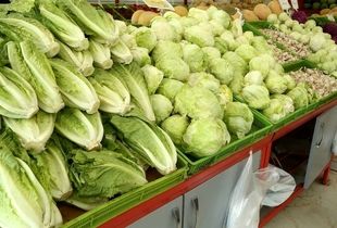 زلزله ۸ ریشتری در بازار میوه؛ سالاد خوردن ممنوع شد!