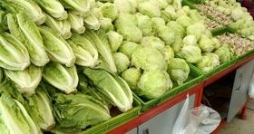 زلزله ۸ ریشتری در بازار میوه؛ سالاد خوردن ممنوع شد!