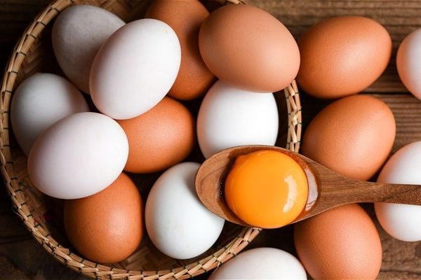 خرید هر شانه تخم مرغ در بازار چقدر پول می خواهد؟ + جدول قیمت