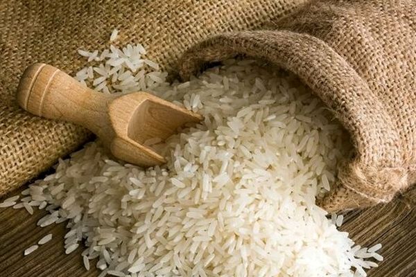 برنج ایرانی گران می شود؟