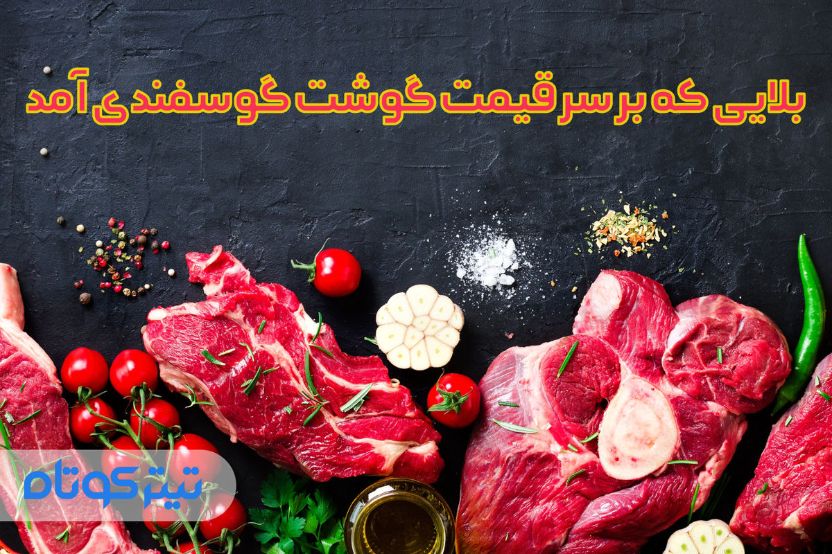 بلایی که بر سر قیمت گوشت گوسفندی آمد + اینفوگرافیک