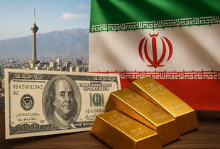 میلیون ها دلار از سرمایه مردم ایران به سرقت رفت