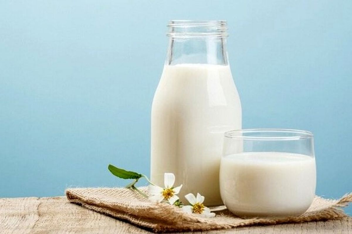 قیمت این شیر به کیلویی ۳۴۰ هزار تومان رسید / قیمت بقیه شیر ها چند شد؟