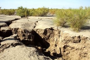 تهدیدی خاموش برای کشور / مهاجرت اجباری در راه است!