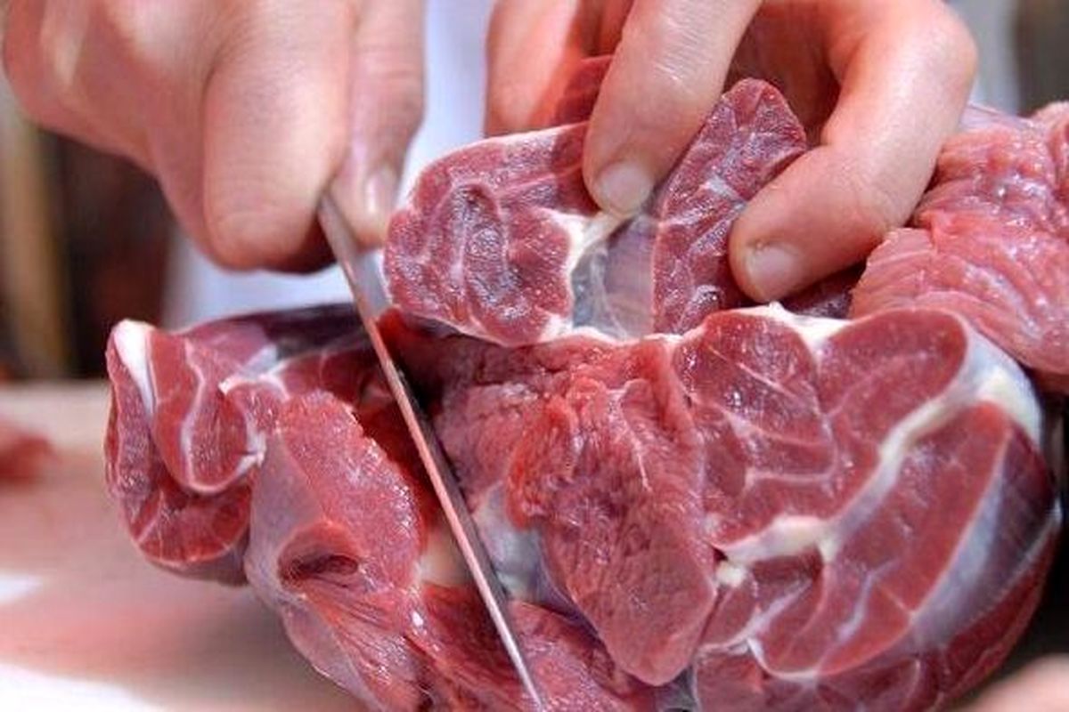 قیمت جدید گوشت گوسفندی در بازار / راسته گوسفند از کیلویی ۴۰۰ هزار تومان عبور کرد 