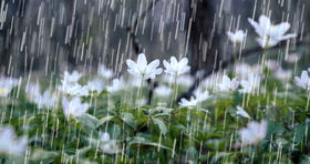 بارش‌ها در کشور تا اوایل هفته آینده ادامه دارد