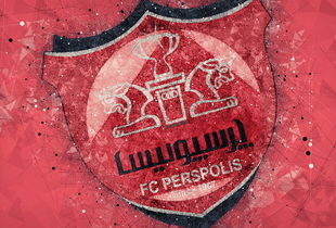 توافق پرسپولیس با ستاره ملی پوش