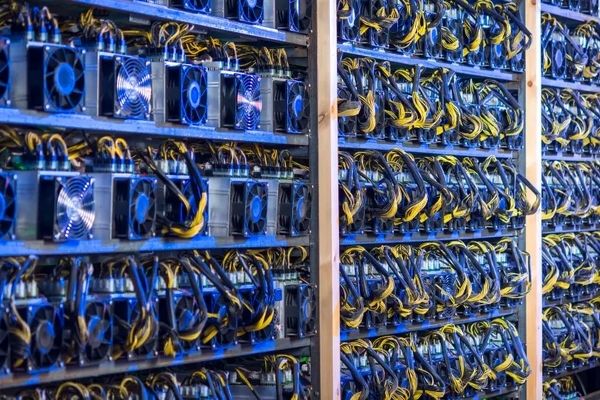 پاداش ویژه ۳۰۰ میلیونی برای این شهروندان 