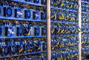 پاداش ویژه ۳۰۰ میلیونی برای این شهروندان 