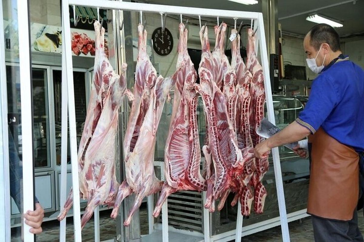 اقدام ویژه برای تنظیم بازار گوشت / مردم منتظر ریزش قیمت گوشت باشند 