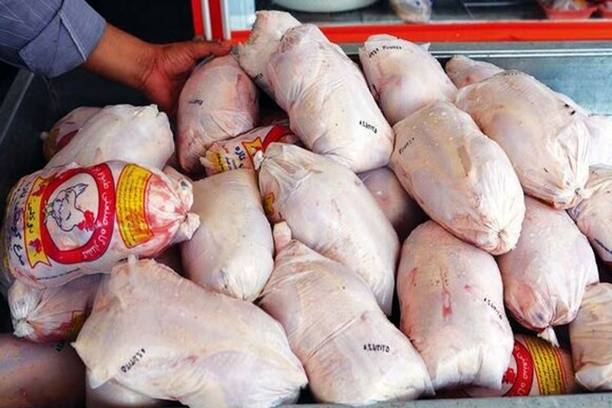 پیش بینی مثبت از بازار مرغ در روزهای آتی / هر کیلو مرغ چند؟ 
