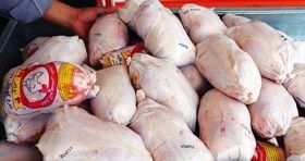 پیش بینی مثبت از بازار مرغ در روزهای آتی / هر کیلو مرغ چند؟ 