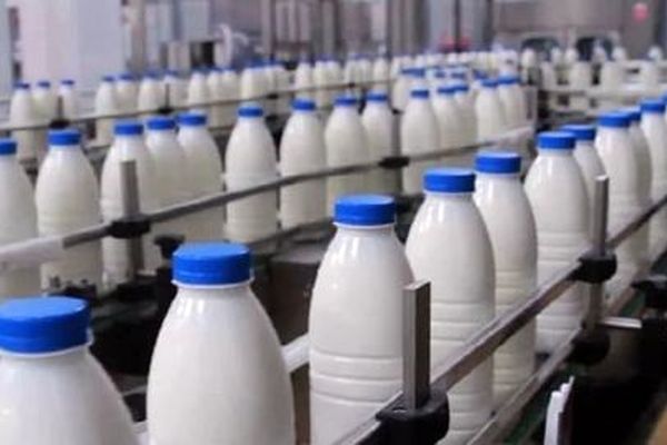 قیمت جدید شیر در بازار / قیمت شیرطعم دار مشخص شد 