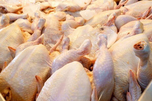 گوشت مرغ با قیمت جدید به بازار آمد (۱۸ اردیبهشت)