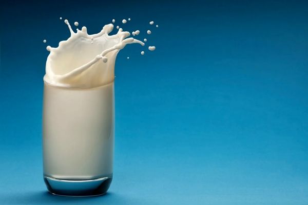 قیمت شیر به کیلویی ۳۴۰ هزار تومان رسید / ۱ لیتر شیر پاستوریزه چند شد؟