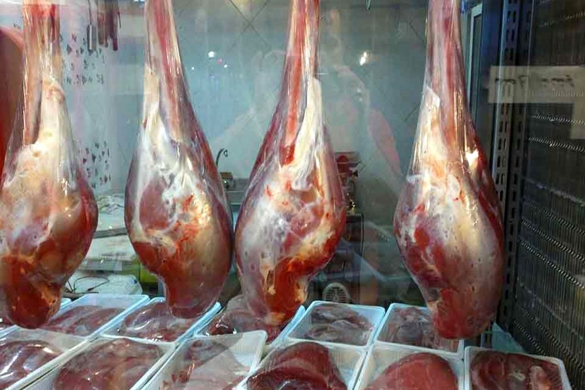گرانی اینبار به سراغ صنعت تولید شتر مرغ رفت / گوشت لخم شتر مرغ به کیلویی ۸۰۰ هزار تومان رسید