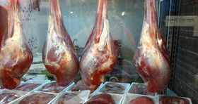 گرانی اینبار به سراغ صنعت تولید شتر مرغ رفت / گوشت لخم شتر مرغ به کیلویی ۸۰۰ هزار تومان رسید