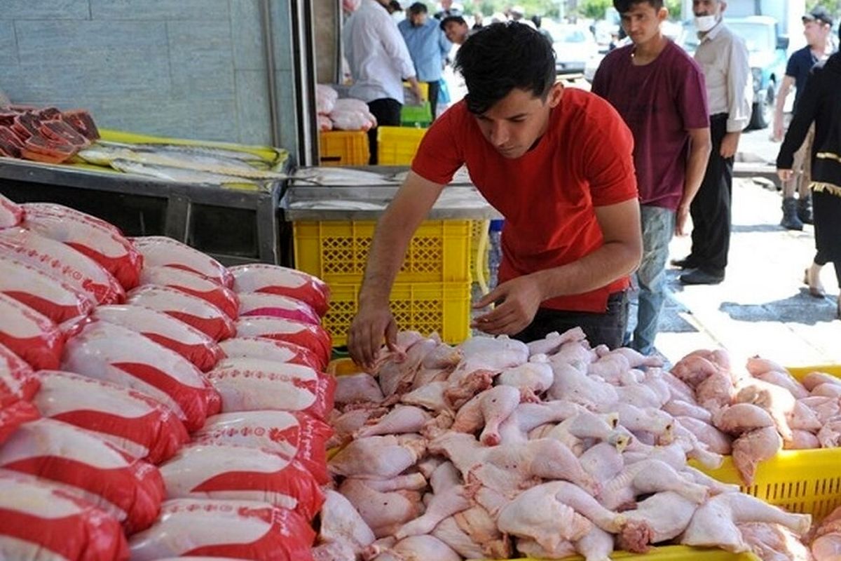 بازار مرغ تهران چطور تامین می شود؟ / واردات گوشت قرمز به کمک بخش خصوصی