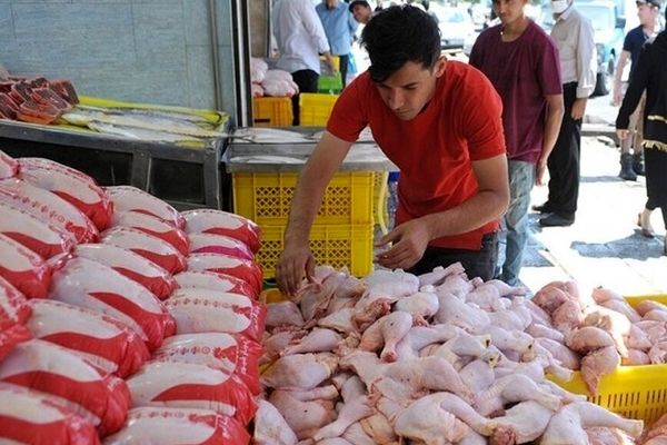 بازار مرغ تهران چطور تامین می شود؟ / واردات گوشت قرمز به کمک بخش خصوصی