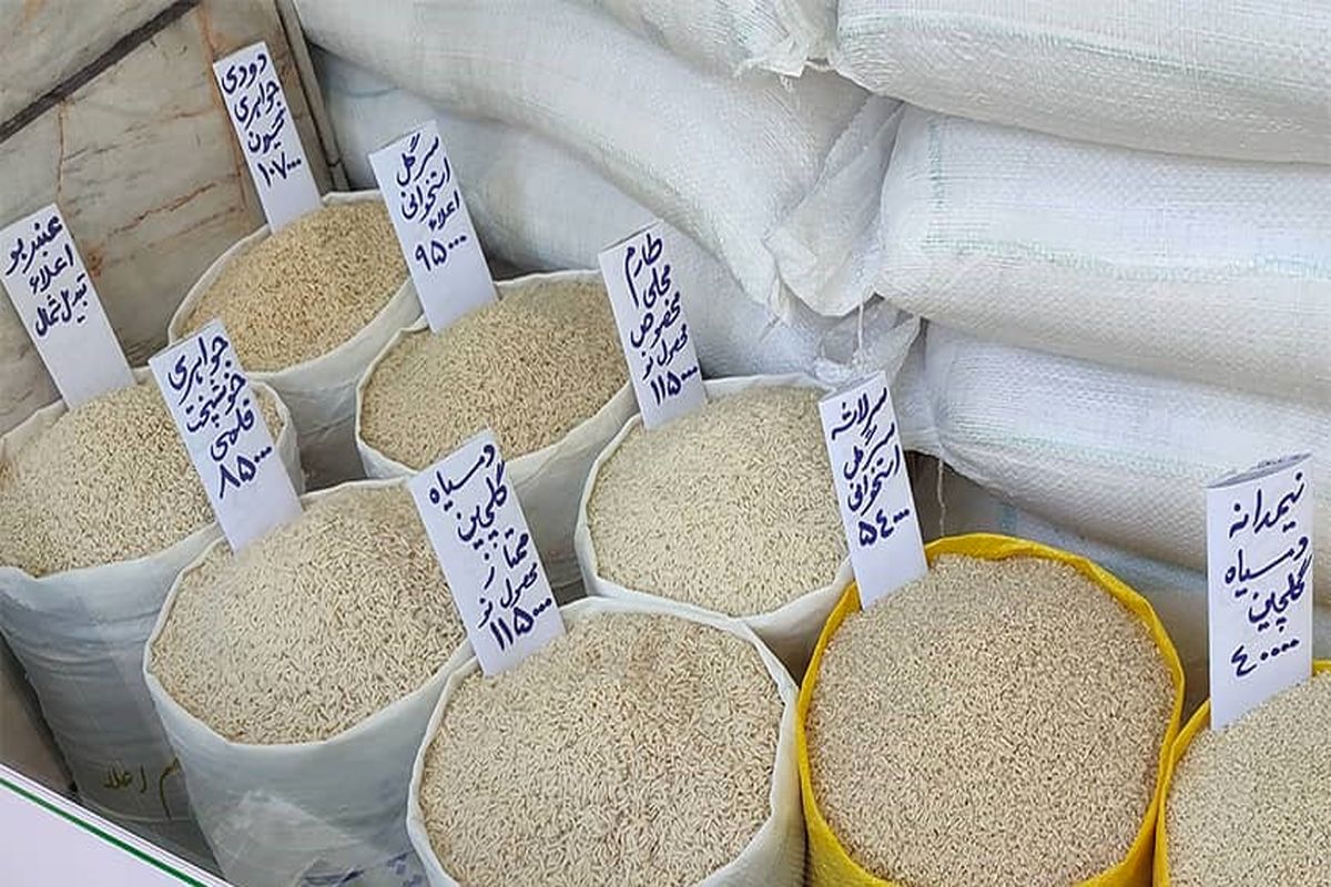 قیمت جدید برنج ایرانی / قیمت برنج ایرانی کیلویی ۱۷۶ هزار تومان شد