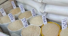 قیمت جدید برنج ایرانی / قیمت برنج ایرانی کیلویی ۱۷۶ هزار تومان شد