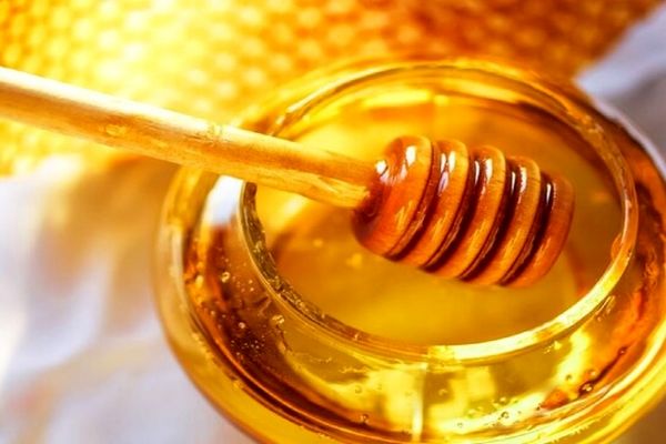 قیمت این گونه عسل به کیلویی ۲۵ میلیون رسید 