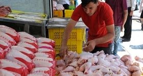 امید به کاهش قیمت مرغ / کمبود تولید نداریم
