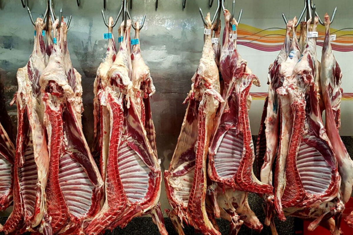 قیمت جدید گوشت گوسفندی در بازار 
